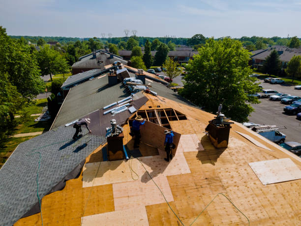 Best Storm Damage Roof Repair  in Prairie Grove, AR