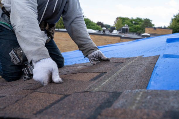 Best Emergency Roof Repair  in Prairie Grove, AR
