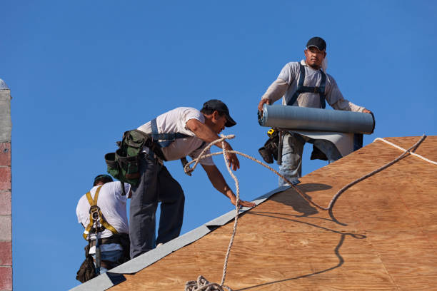 Best Roof Gutter Cleaning  in Prairie Grove, AR