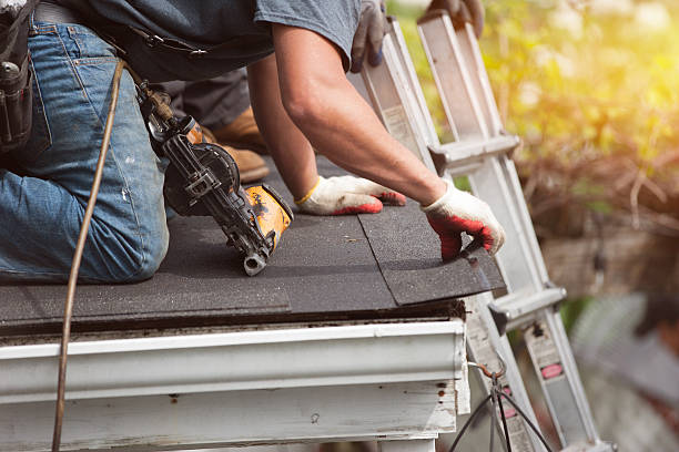 Best Local Roofing Companies  in Prairie Grove, AR