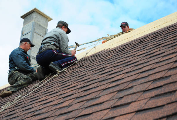Professional Roofing Contractor in Prairie Grove, AR